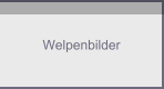 Welpenbilder